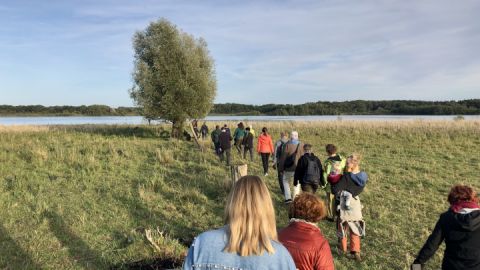 naturkundliche_wanderung_mueritz