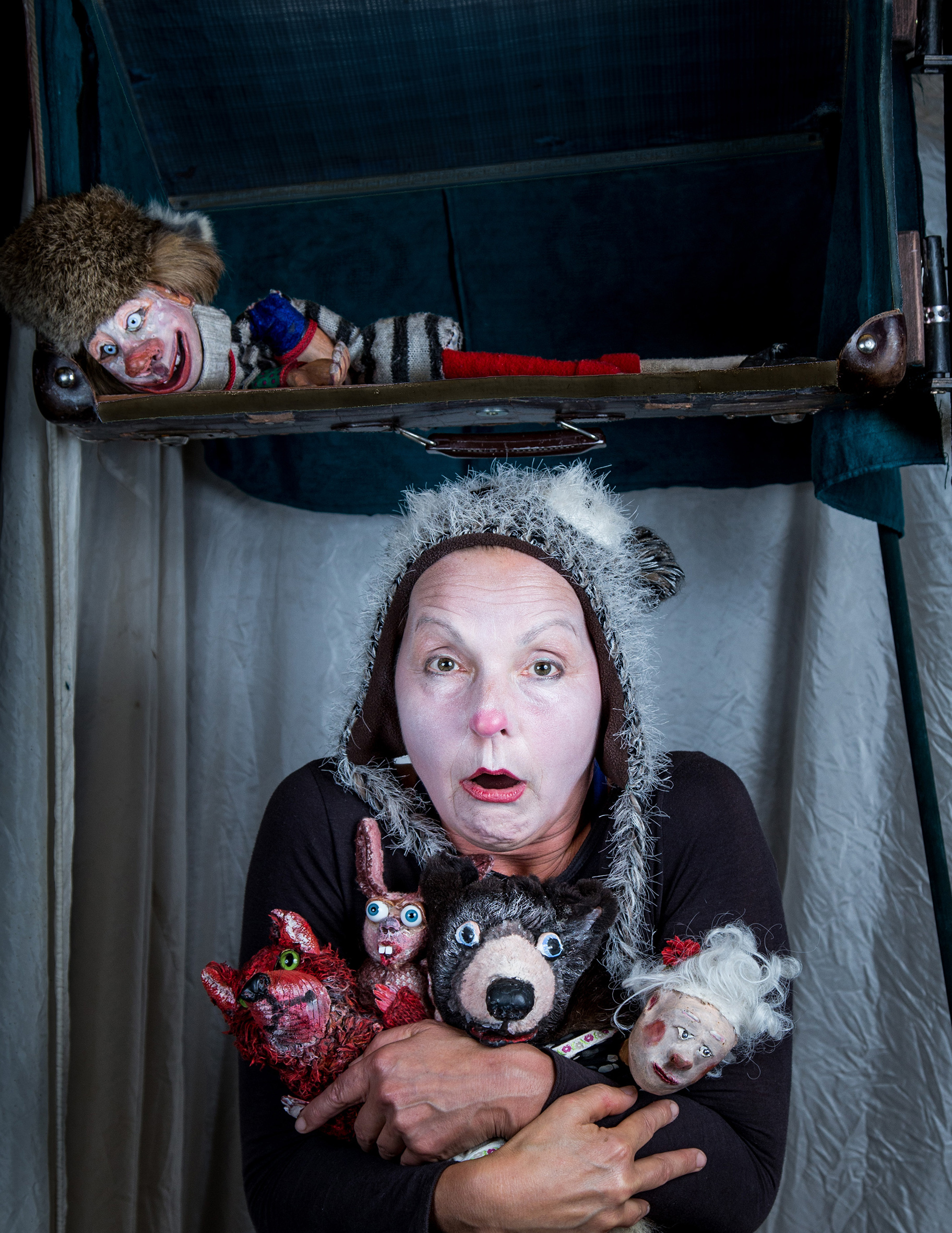 Schöne wilde Winternacht - Puppentheater im Müritzeum