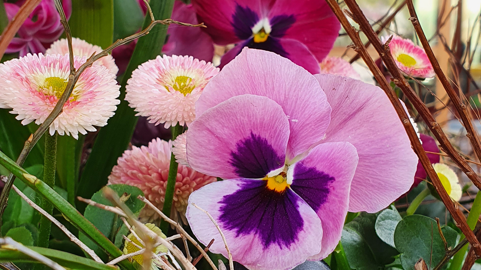 Frühlingserwachen im BÄRENWALD