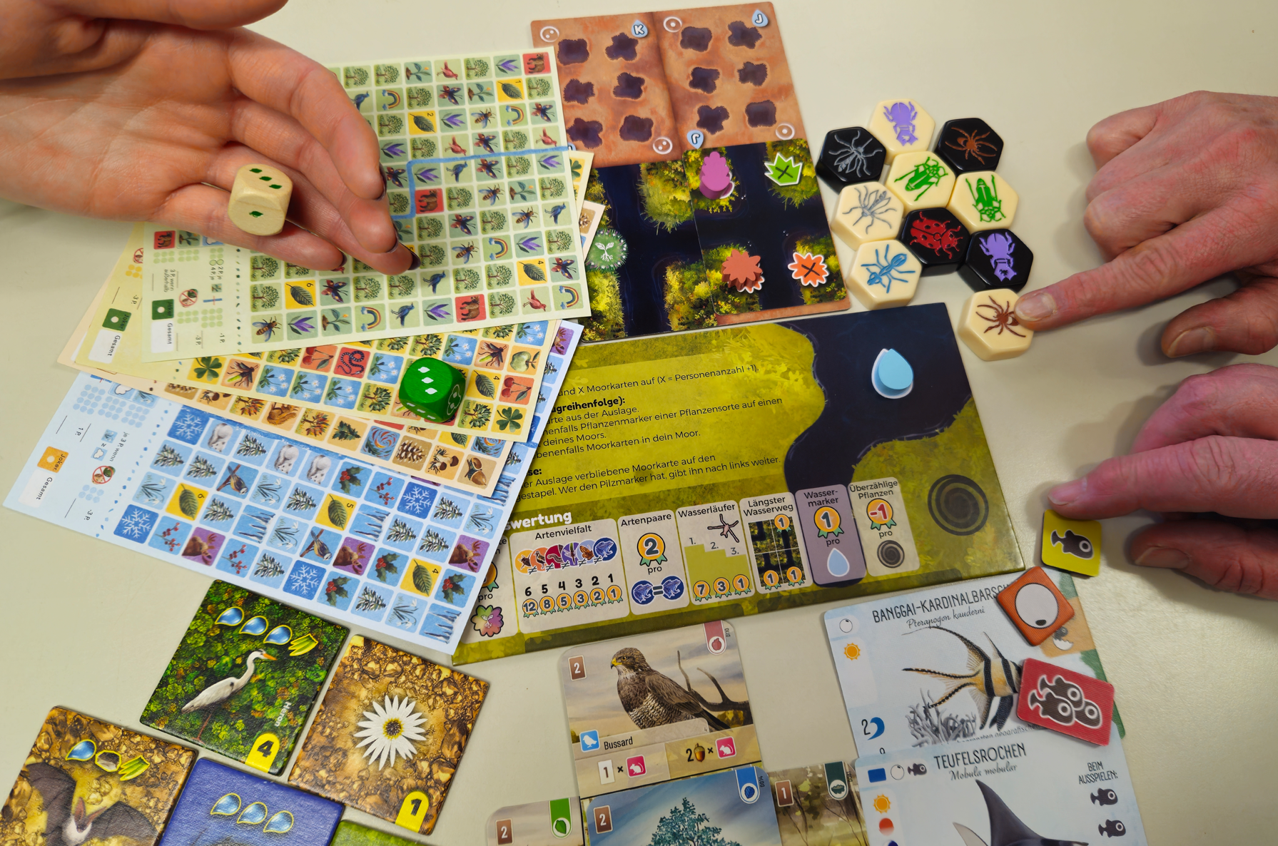 Ran an die Würfel, rein in die Natur!