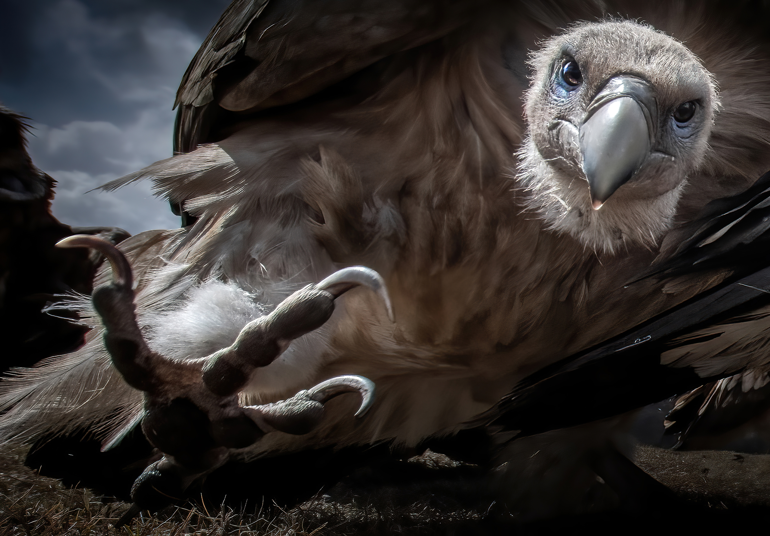 Glanzlichter 2024 - Sonderausstellung