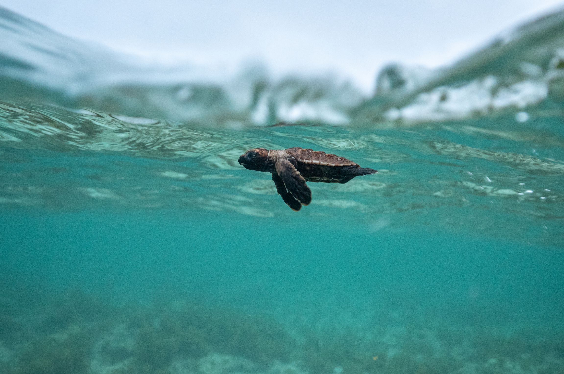 Naturfilmreihe im Müritzeum endet