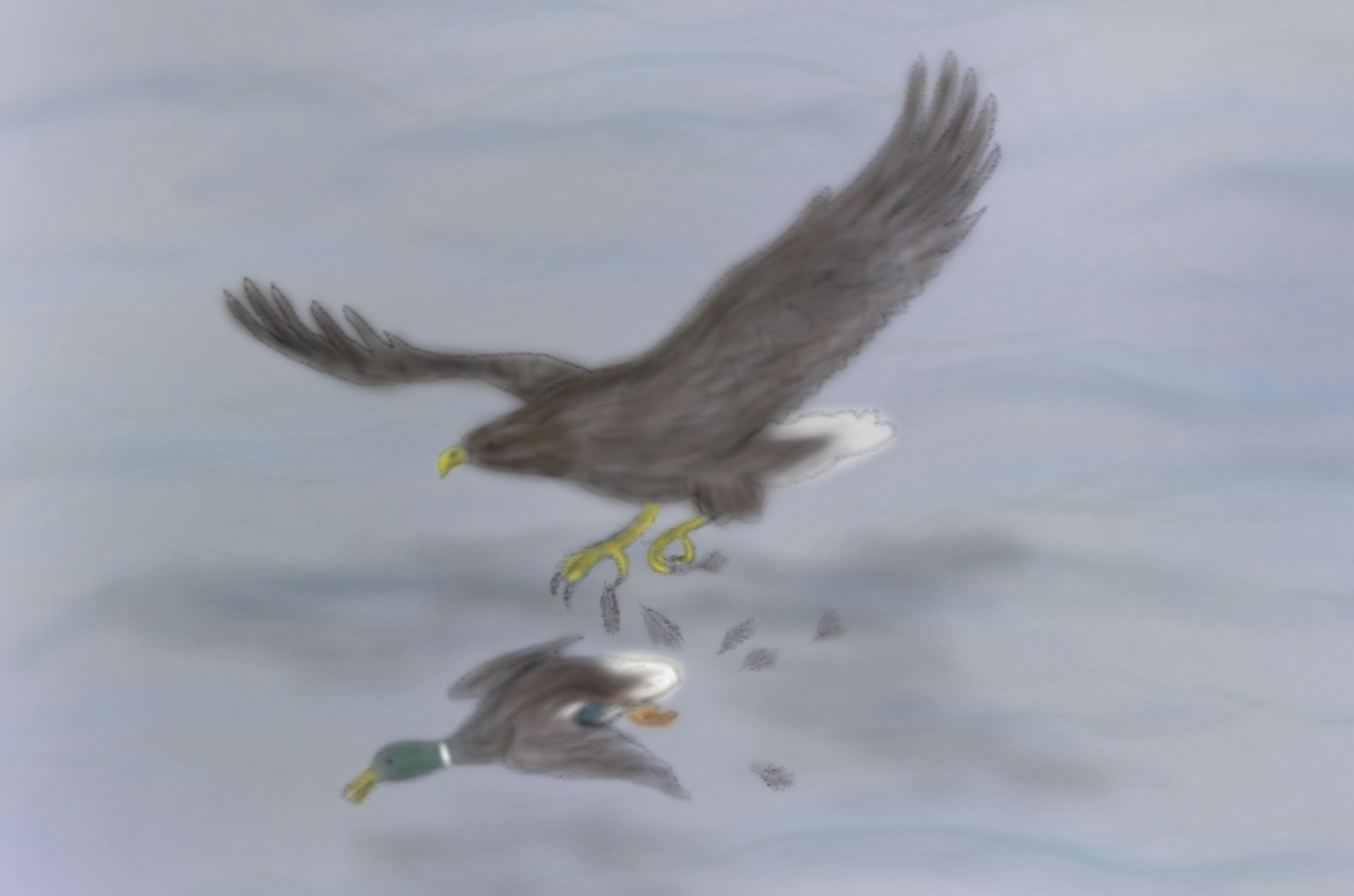 Scharfe Krallen – scharfe Augen – faszinierende Welt der Adler