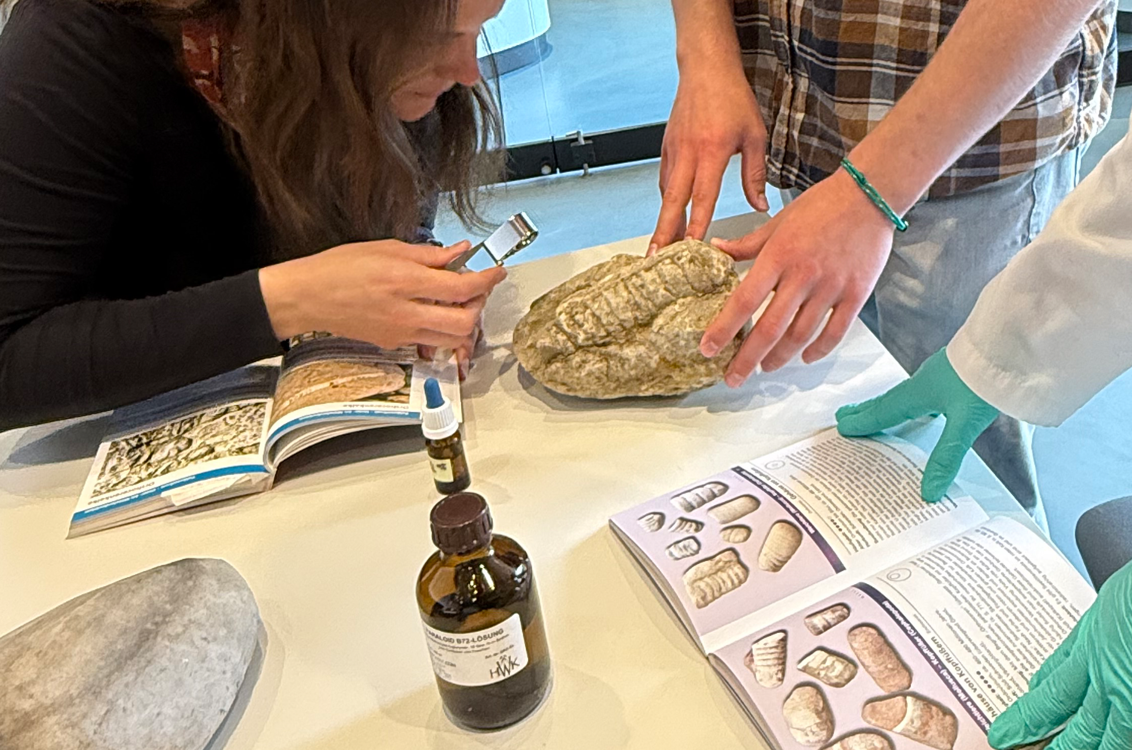 Gesteinssprechstunde im Müritzeum