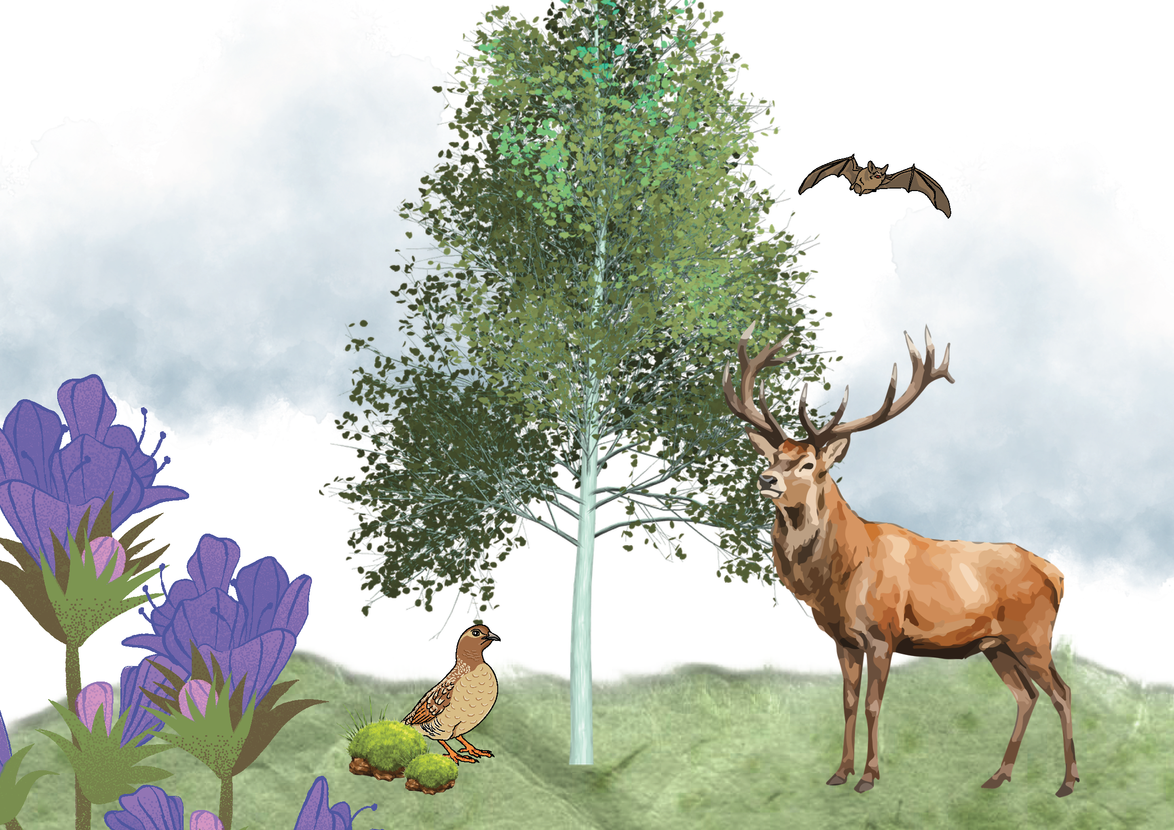 Titelträger des Jahres aus Flora und Fauna