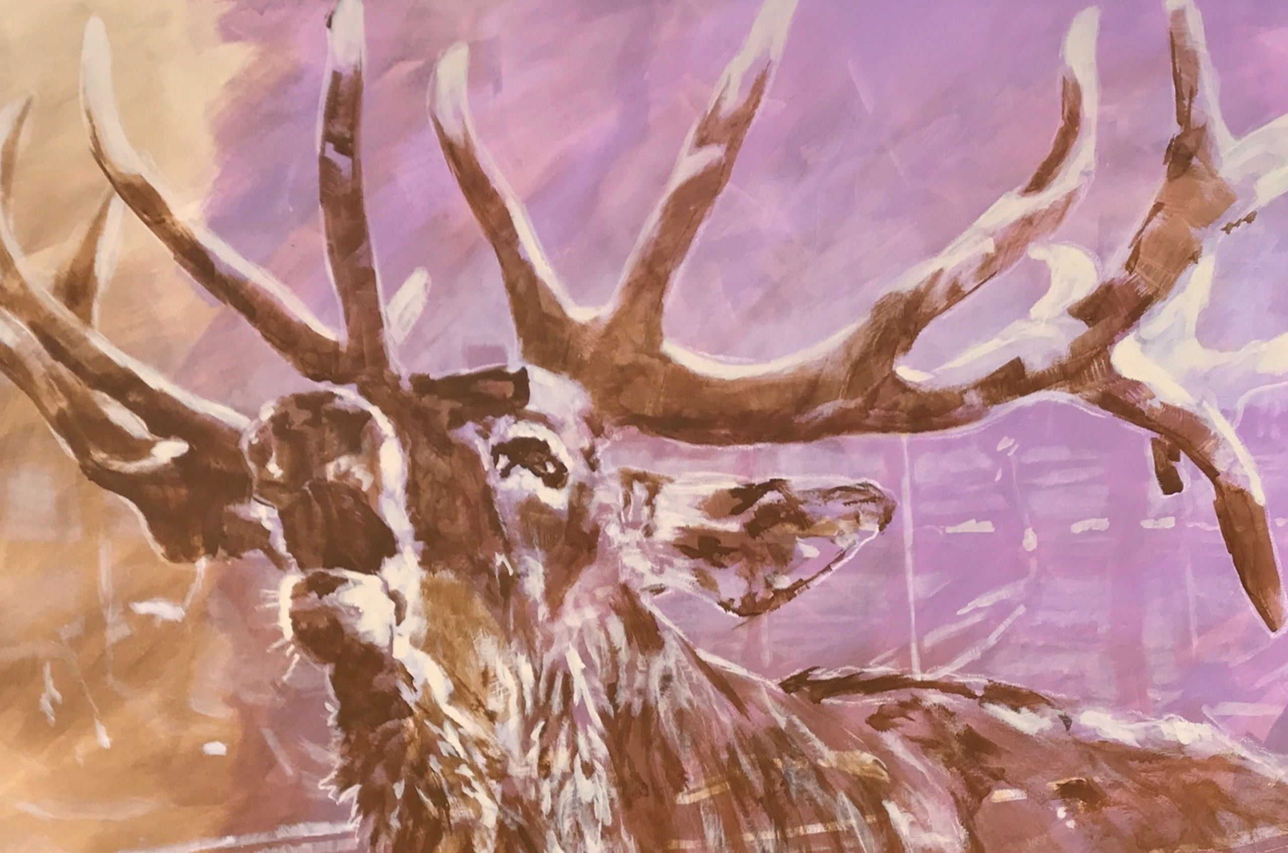 Von Kunst & Natur - Sammlung trifft Atelier