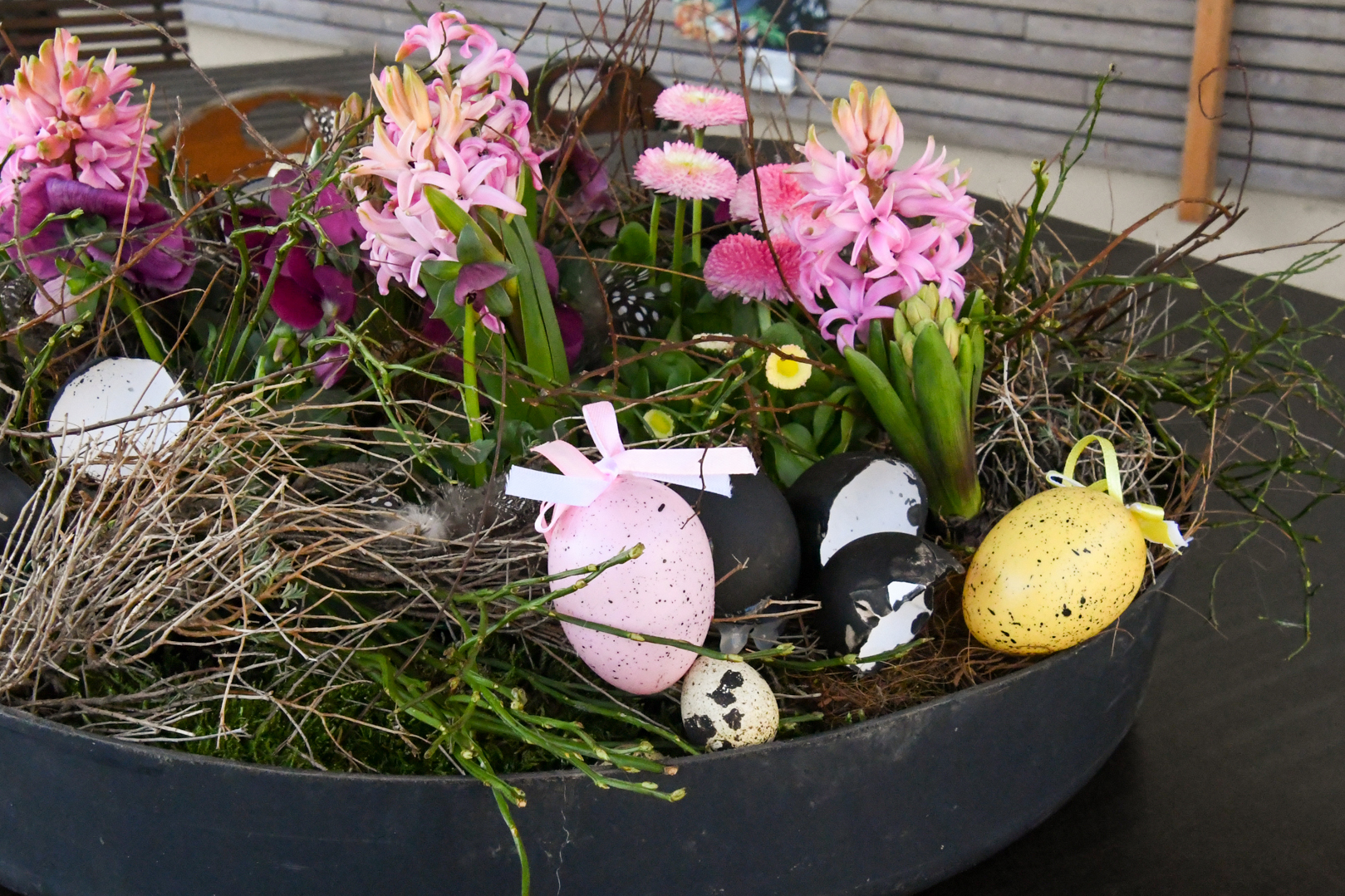 Osterschatzsuche im BÄRENWALD Müritz