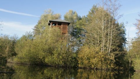 Aussichtsturm Moorochse von der Wasserseite