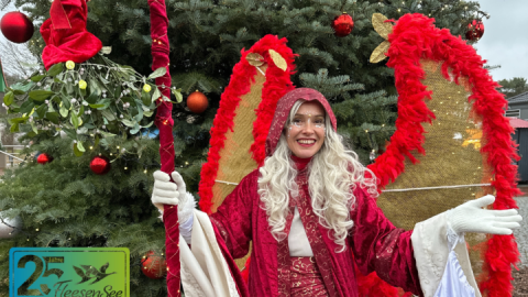 https://www.goehren-lebbin.com/veranstaltungen/land-fleesensee-weihnachtsmarkt-1