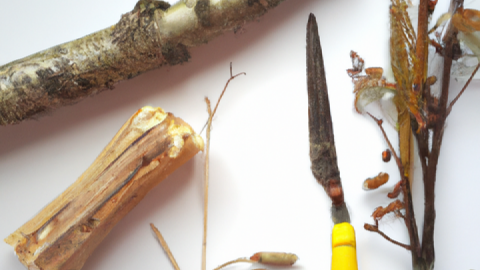Herrentag im Wald