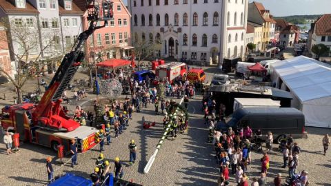 Maibaum 2024