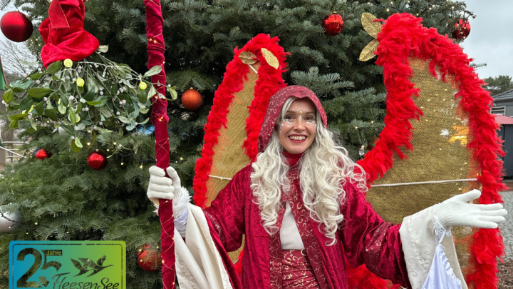 https://www.goehren-lebbin.com/veranstaltungen/land-fleesensee-weihnachtsmarkt-1