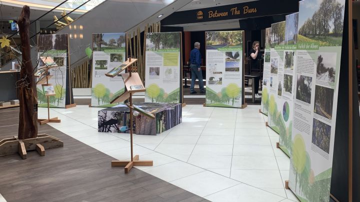 Alleenausstellung1